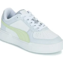 Puma - CA PRO