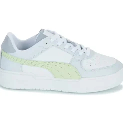 Puma - CA PRO