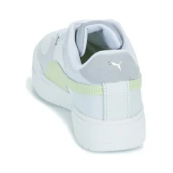 Puma - CA PRO