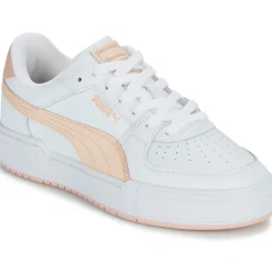 Puma - CA PRO