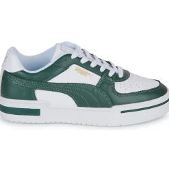 Puma - CA PRO