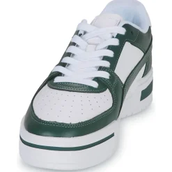 Puma - CA PRO