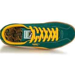 Puma - Delphin