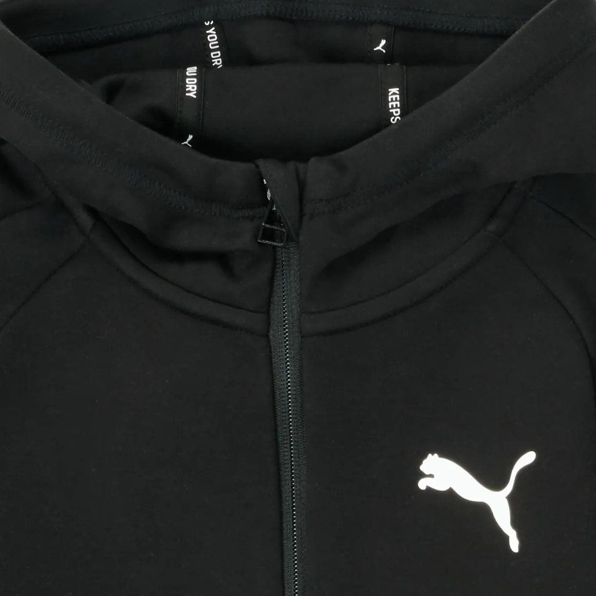 Puma - EVOSTRIPE CORE FZ HOODIE