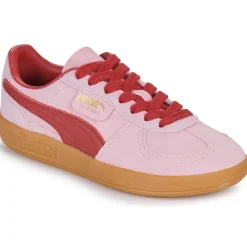 Puma - Palermo