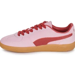 Puma - Palermo