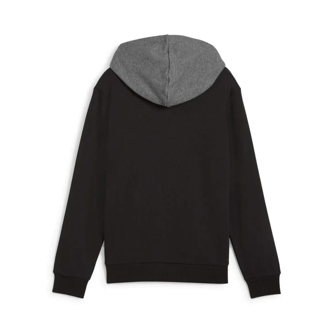Puma - POWER COLORBLOCK HOODIE TR