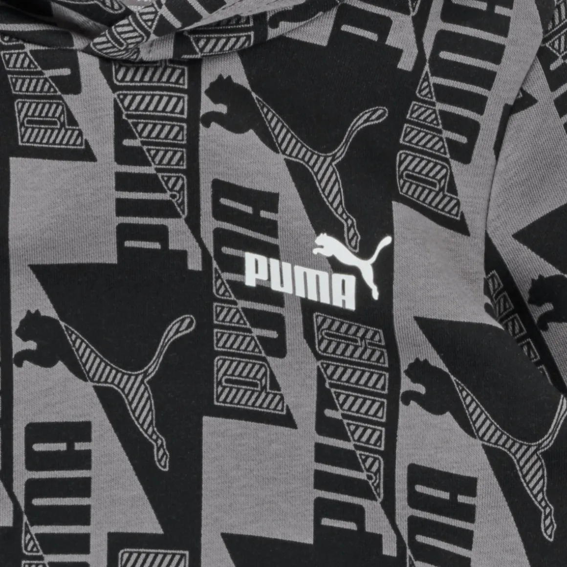 Puma - PUMA POWER AOP HOODIE