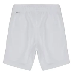 Puma - TEAMRISE SHORT