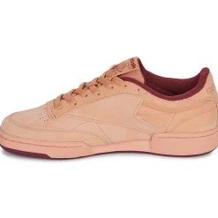 Reebok Classic - CLUB C 85