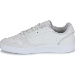 Reebok Classic - PHASE COURT