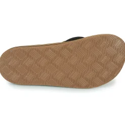 Reef - CUSHION DAWN