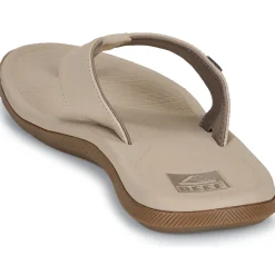 Reef - REEF SANTA ANA