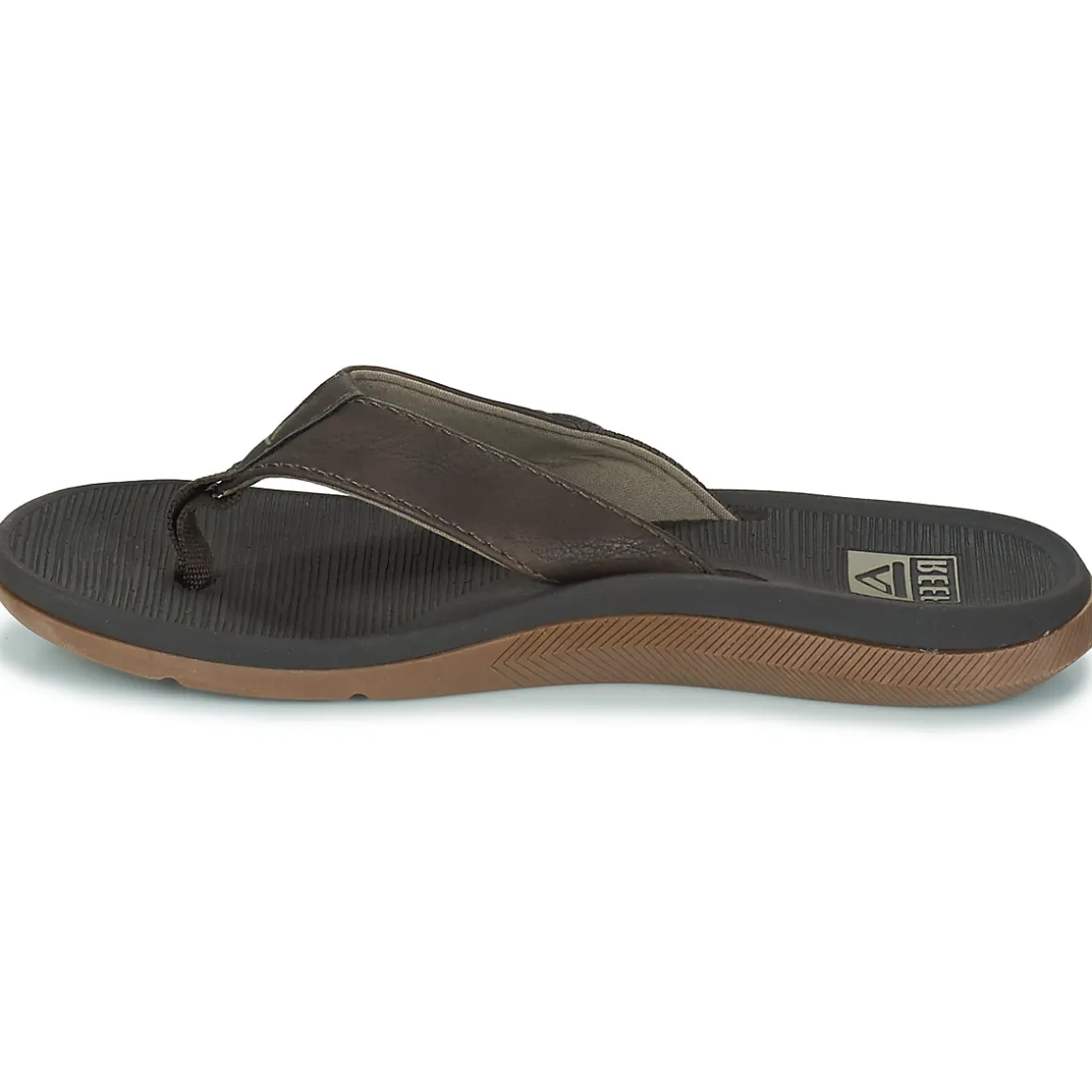 Reef - REEF SANTA ANA