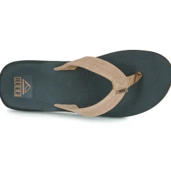 Reef - THE GROUNDSWELL