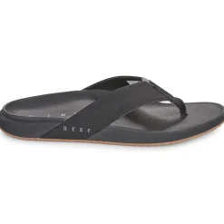 Reef - THE RAGLAN