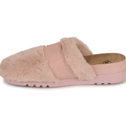 Scholl - ALASKA 2.0