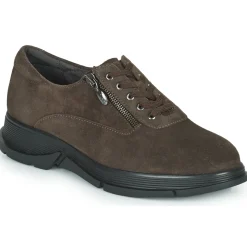 Scholl - BRISTOL ZIP