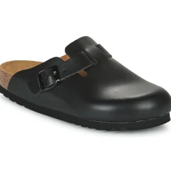 Scholl - FAE