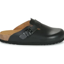 Scholl - FAE