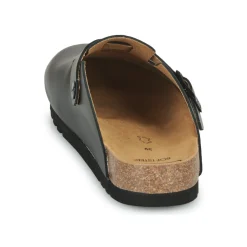 Scholl - FAE