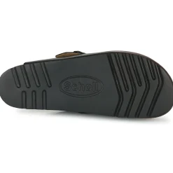 Scholl - FAE