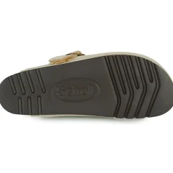 Scholl - FAE