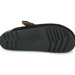 Scholl - FAE