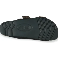 Scholl - JULIEN