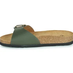 Scholl - KATHLEEN