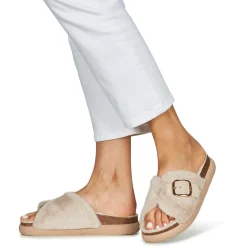 Scholl - KATY