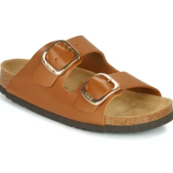 Scholl - NOELLE