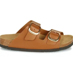 Scholl - NOELLE