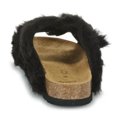 Scholl - NOELLE