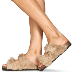 Scholl - NOELLE