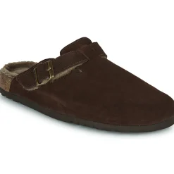 Scholl - OLIVIER