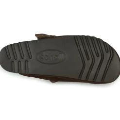 Scholl - OLIVIER