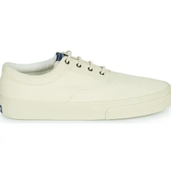 Sebago - JOHN SUEDE