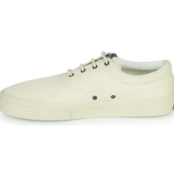 Sebago - JOHN SUEDE