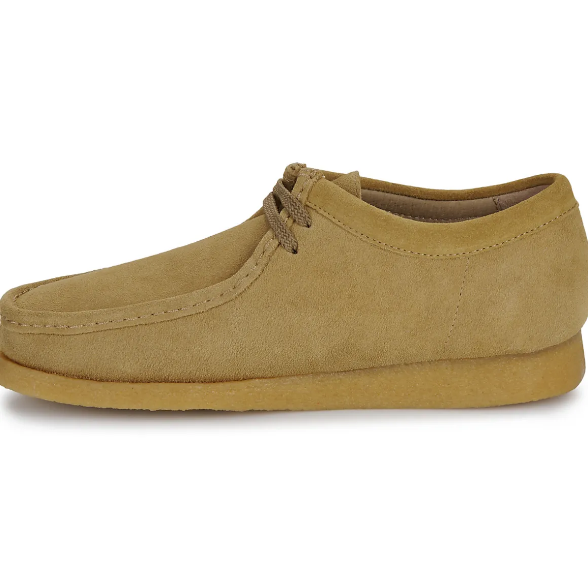 Sebago - KOALA