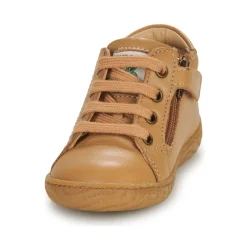 Shoo Pom - WOOD ZIP BASE