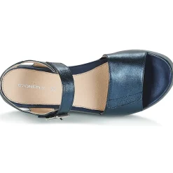 Stonefly - AQUA III 2 LAMINATED