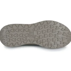Teva - Ellwood Mid