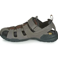 Teva - FOREBAY