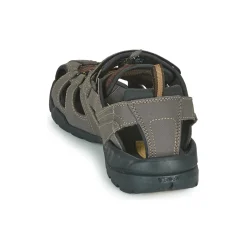 Teva - FOREBAY