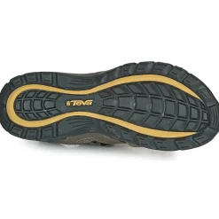 Teva - FOREBAY