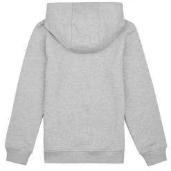 Tommy Hilfiger - ESSENTIAL HOODIE