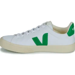 Veja - CAMPO CANVAS