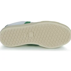 Veja - CAMPO CANVAS