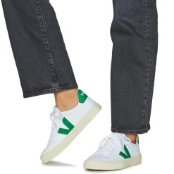 Veja - CAMPO CANVAS